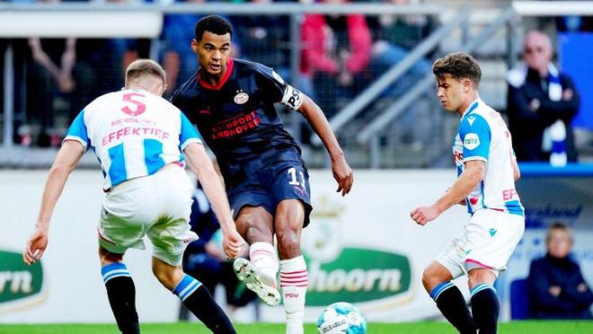 仅以其辉煌 仅以其辉煌