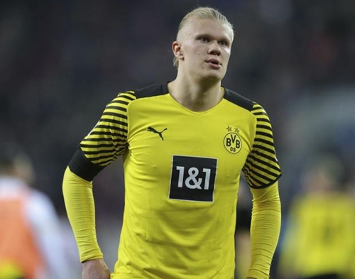 希望主导三 希望主导三